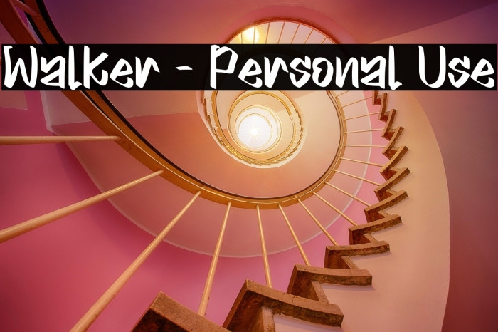 Walker - Personal Use Example 1