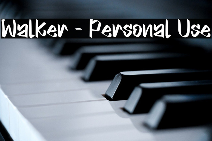 Walker - Personal Use Example 2