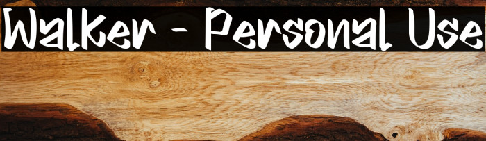 Walker - Personal Use Example 3