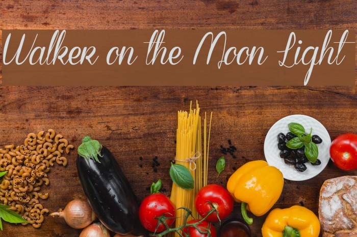 Walker on the Moon Light Font examples