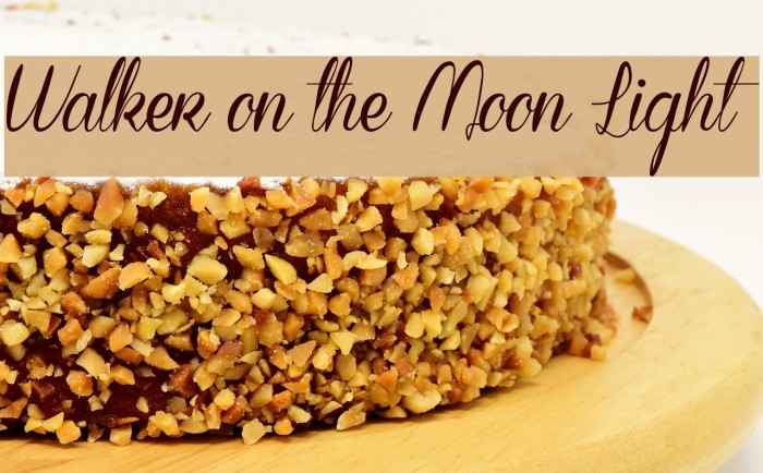 Walker on the Moon Light Font examples