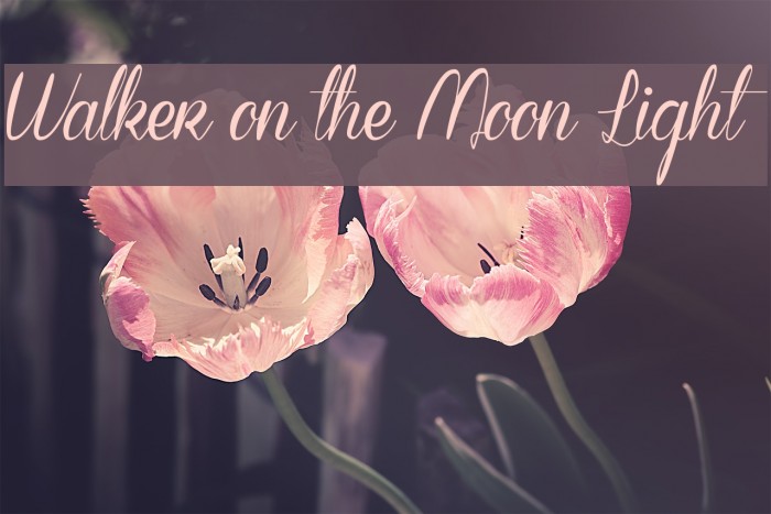 Walker on the Moon Light Font examples
