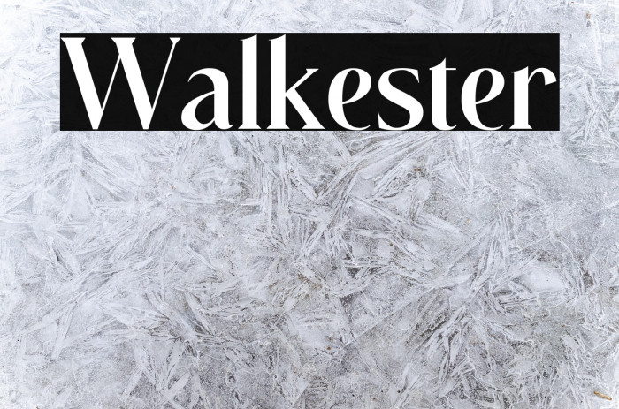 Walkester Example 2