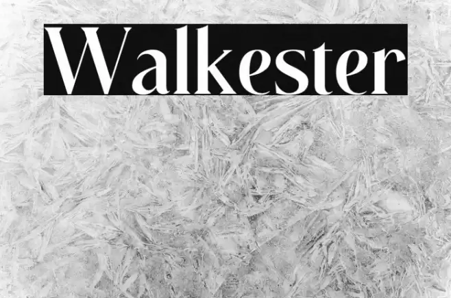 Walkester Font examples