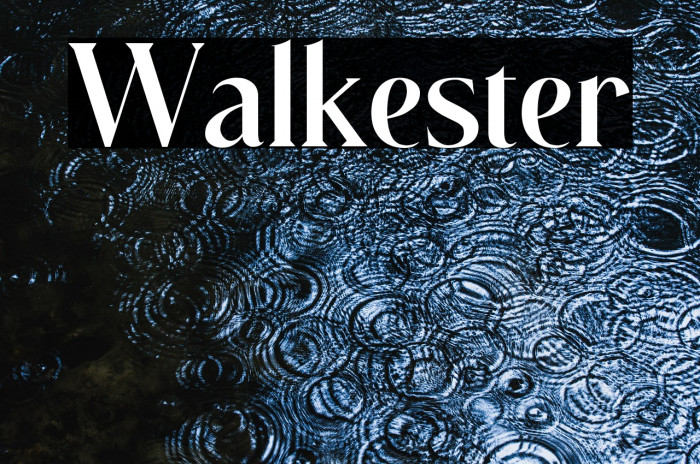 Walkester Example 3