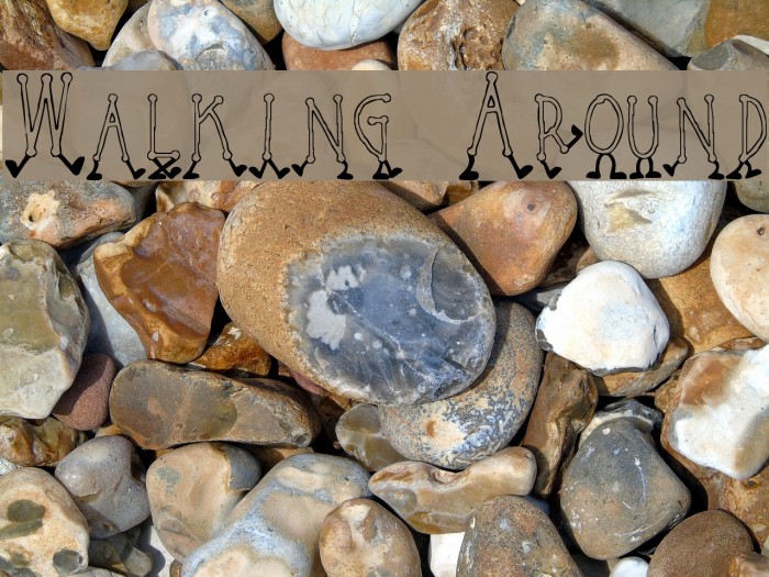 Walking Around Fonte examples