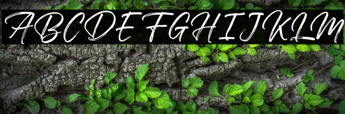 Walking Dream FREE Example 2