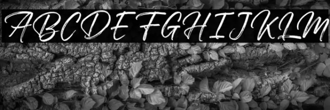 Walking Dream FREE Font examples