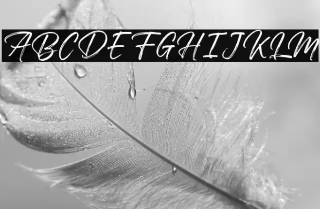 Walking Dream FREE Font examples