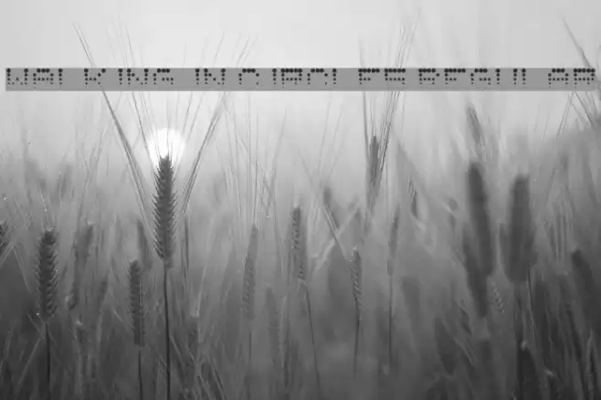 Walking in Circles Regular Font examples