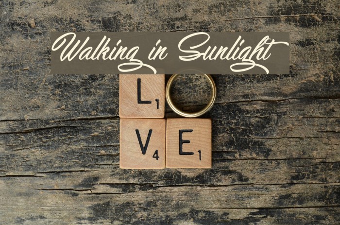 Walking in Sunlight Font examples