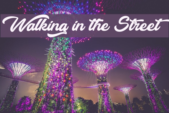 Walking in the Street Font examples