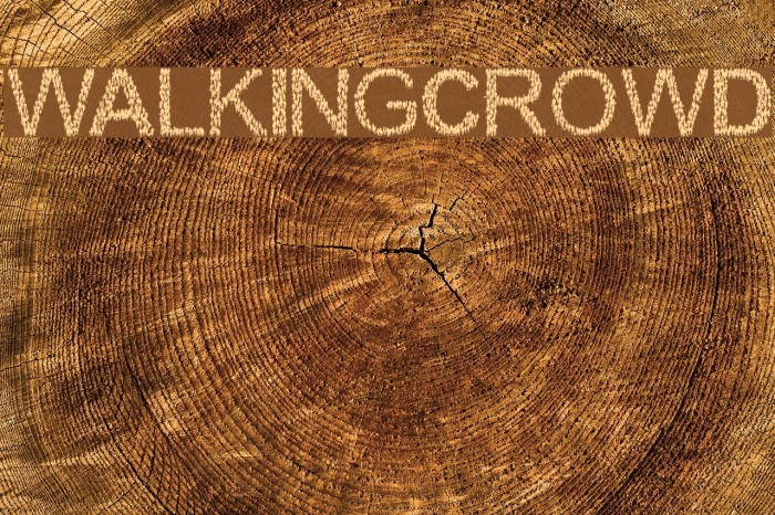 WalkingCrowd Font examples