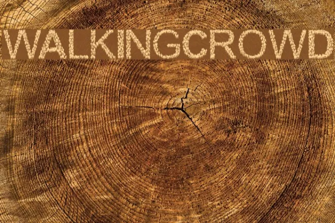 WalkingCrowd Example 2