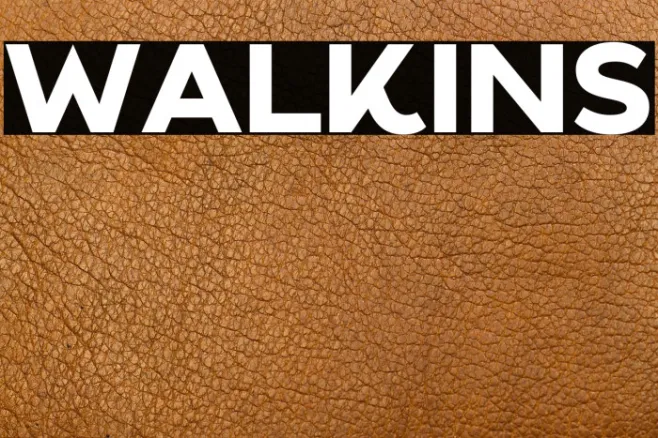 Walkins Example 1