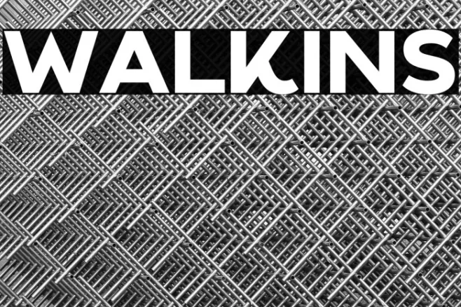 Walkins Example 3