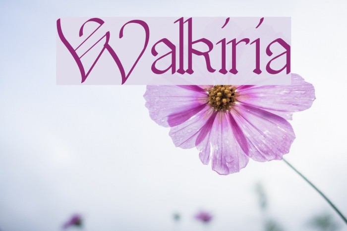 Walkiria Font examples