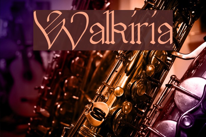 Walkiria Example 2