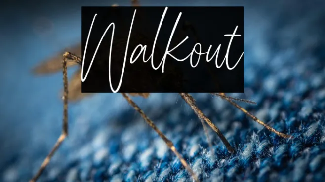 Walkout Example 1