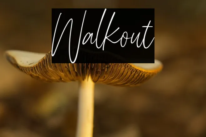 Walkout Example 2