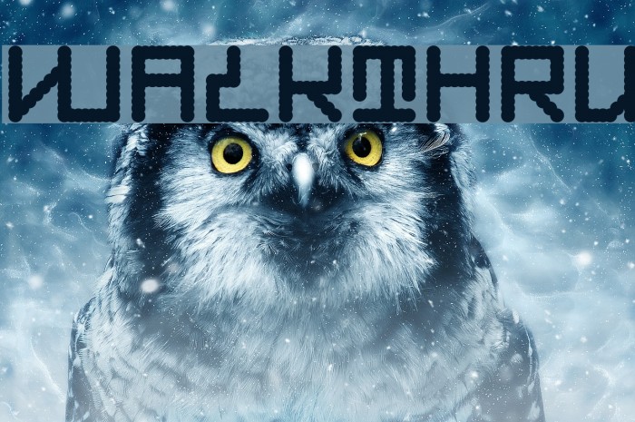 Walkthru Font examples