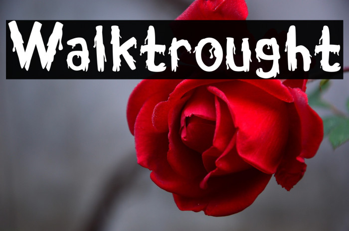 Walktrought Example 1