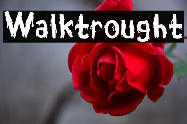 Walktrought Example 1