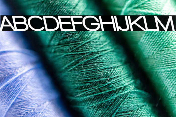 Walkway Black RevOblique Example 2