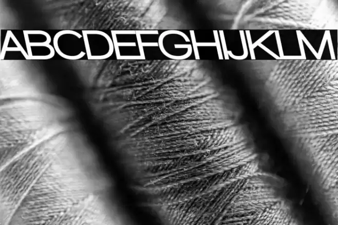 Walkway Black RevOblique Font examples