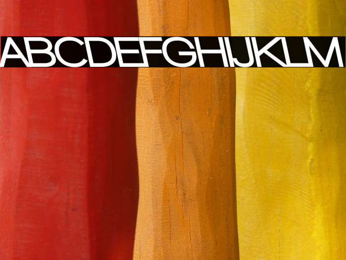 Walkway Black RevOblique Example 3