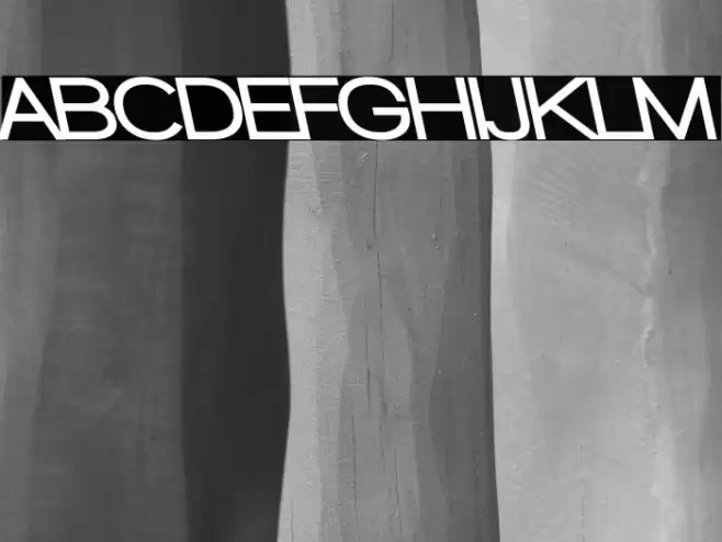 Walkway Black RevOblique Font examples