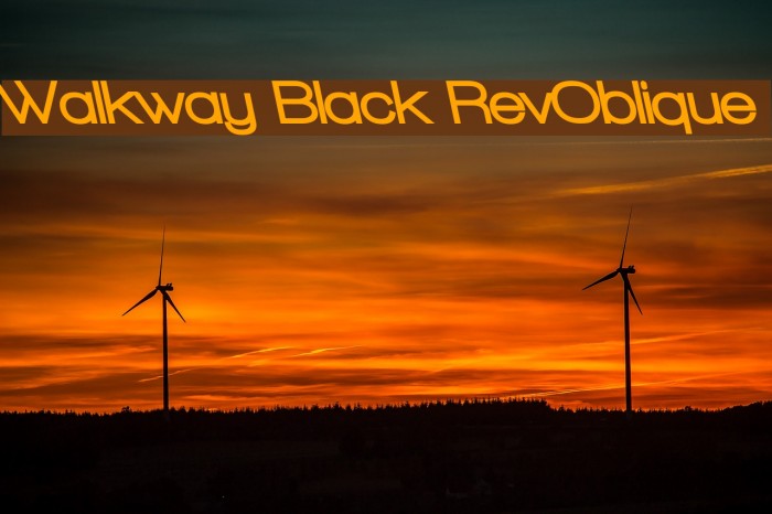 Walkway Black RevOblique Font examples