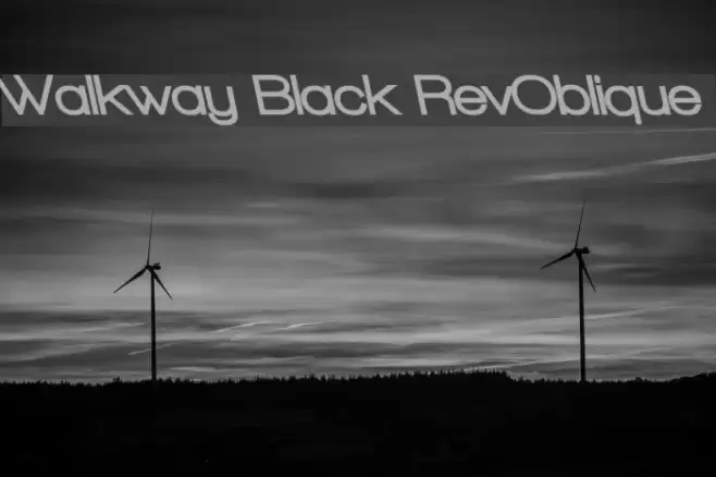 Walkway Black RevOblique フォント examples