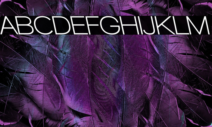 Walkway Bold RevOblique Example 2