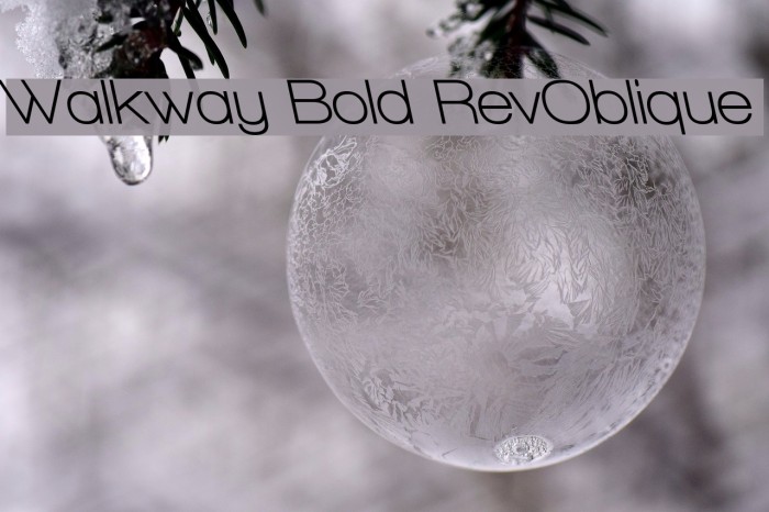 Walkway Bold RevOblique Font examples