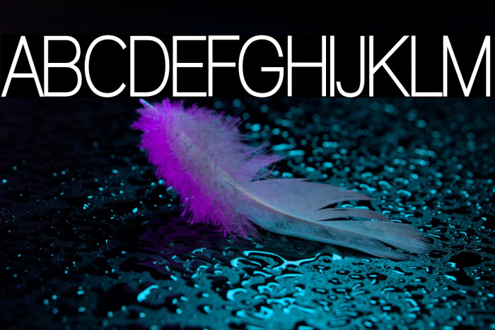 Walkway Condensed Bold Example 2