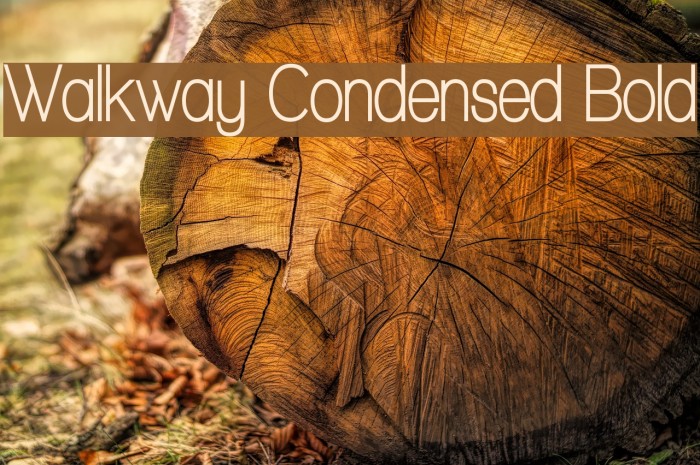 Walkway Condensed Bold Font examples