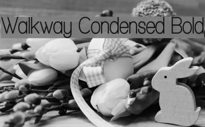 Walkway Condensed Bold Font examples