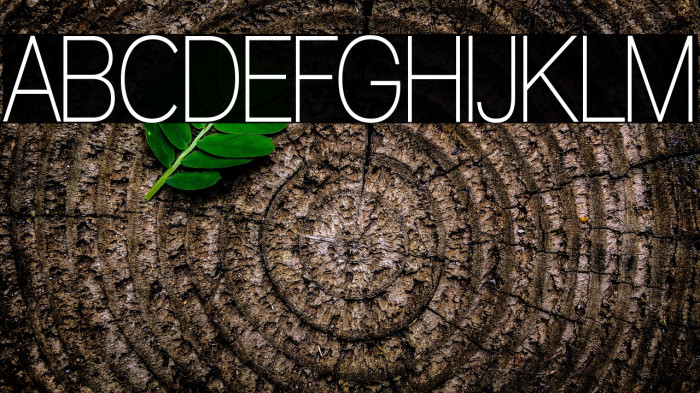 Walkway Condensed SemiBold Example 2