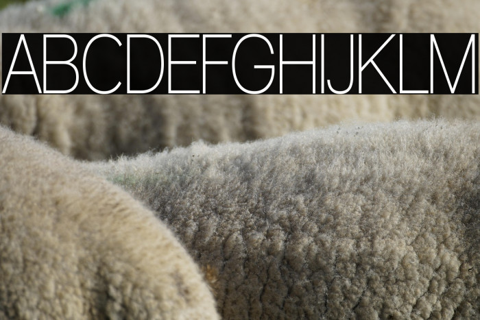 Walkway Condensed SemiBold Example 3