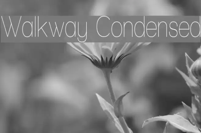 Walkway Condensed Polices examples