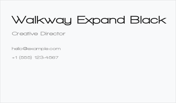 Walkway Expand Black Business Card