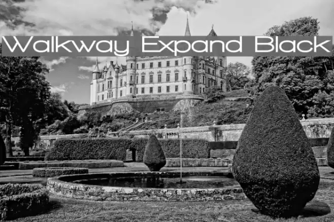 Walkway Expand Black Шрифта examples