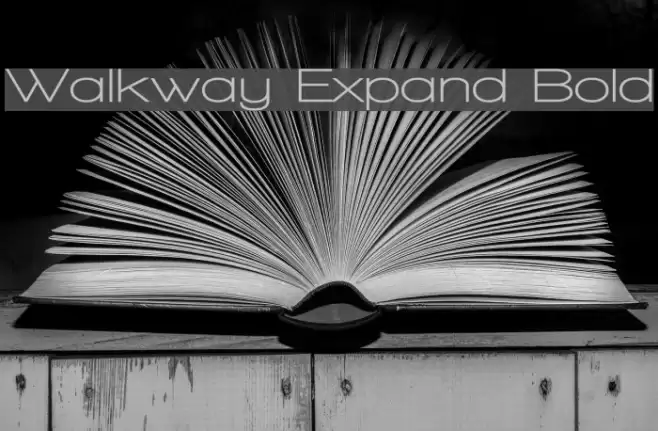 Walkway Expand Bold Polices examples