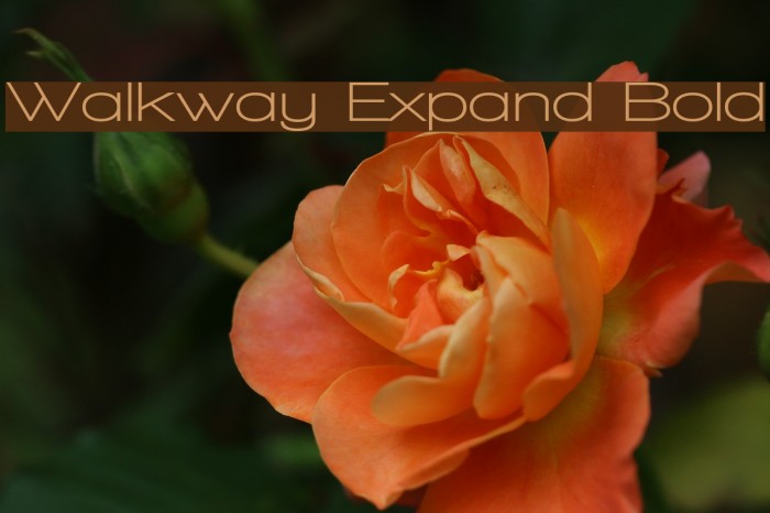 Walkway Expand Bold Font examples