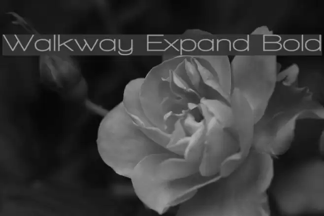 Walkway Expand Bold Polices examples