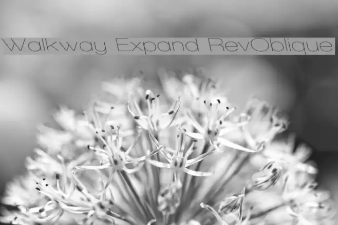 Walkway Expand RevOblique examples