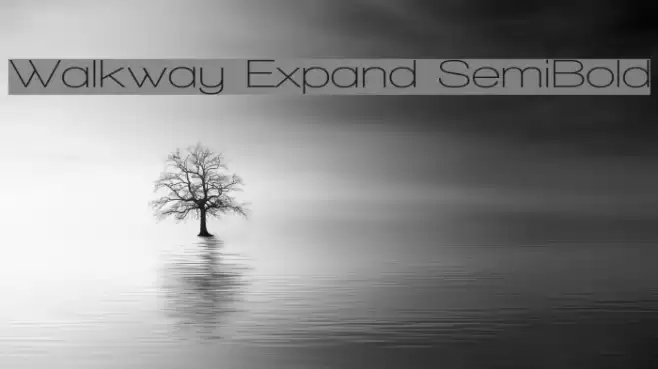 Walkway Expand SemiBold Font examples