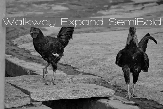 Walkway Expand SemiBold Font examples