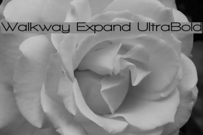 Walkway Expand UltraBold Font examples
